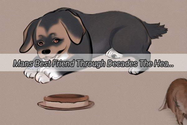 Mans Best Friend Through Decades The Heartwarming Tale of Loyalty and Companionship